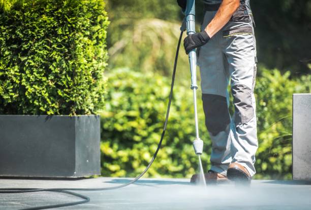 Best House Exterior Washing  in New Paleste, IN