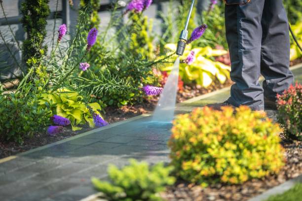 Best Parking Lot and Garage Cleaning  in New Paleste, IN