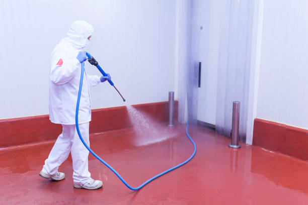 Best Sidewalk and Walkway Cleaning  in New Paleste, IN