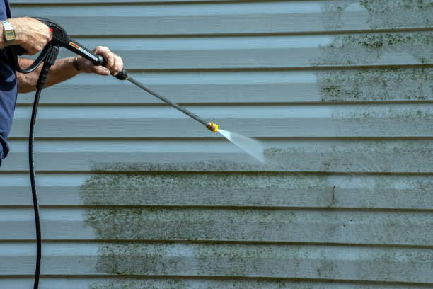 Best Dumpster Area Cleaning  in New Paleste, IN
