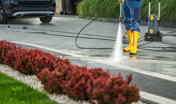Best Pool Deck Cleaning  in New Paleste, IN